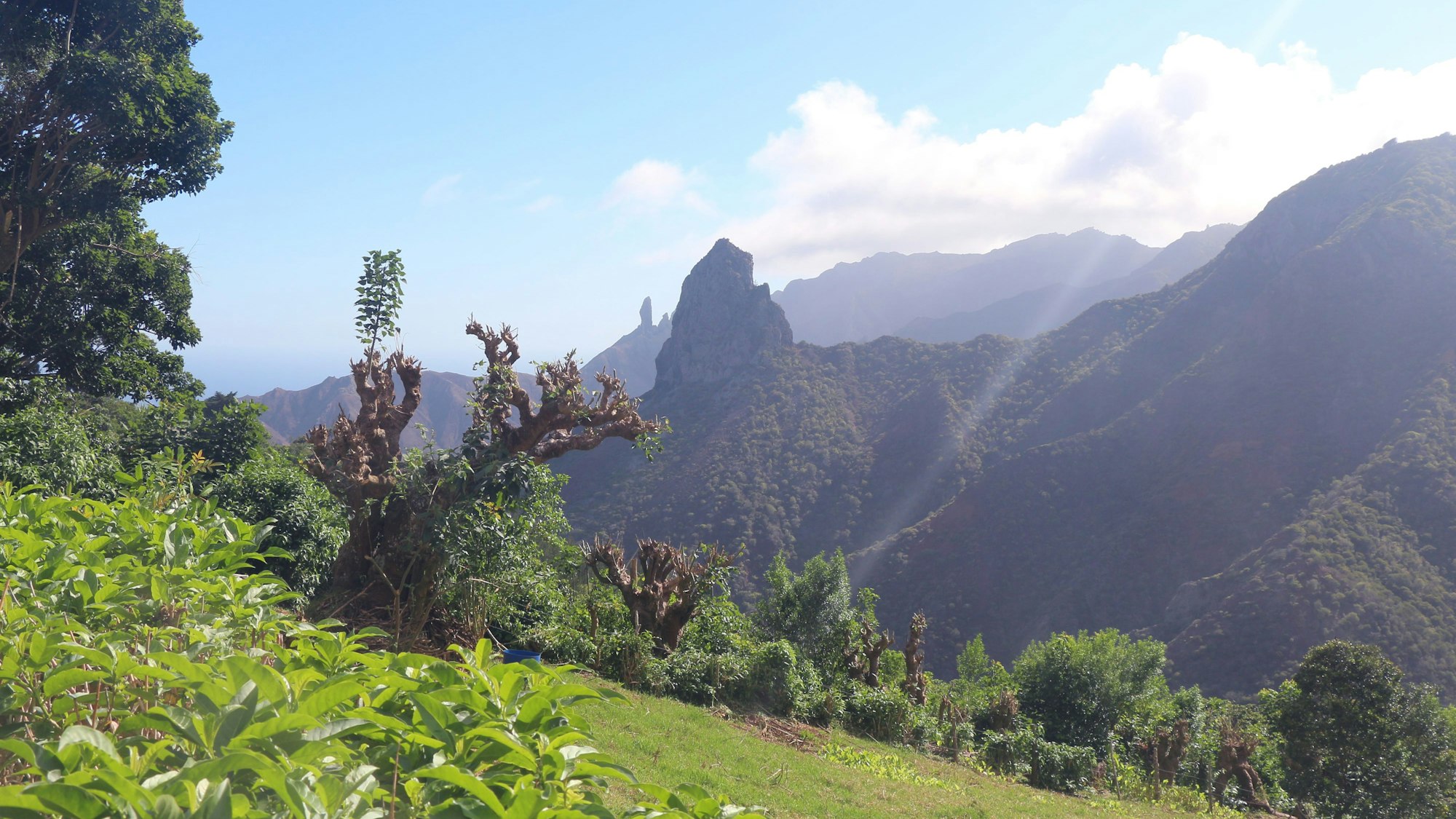 St. Helena im Südatlantik ist geschichtsträchtig als der Ort, an dem Napoleon Bonaparte im Exil lebte.