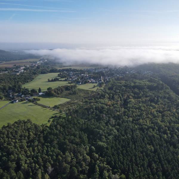 Das Bild zeigt den Wald zwischen Strempt und Mechernich aus der Luft.