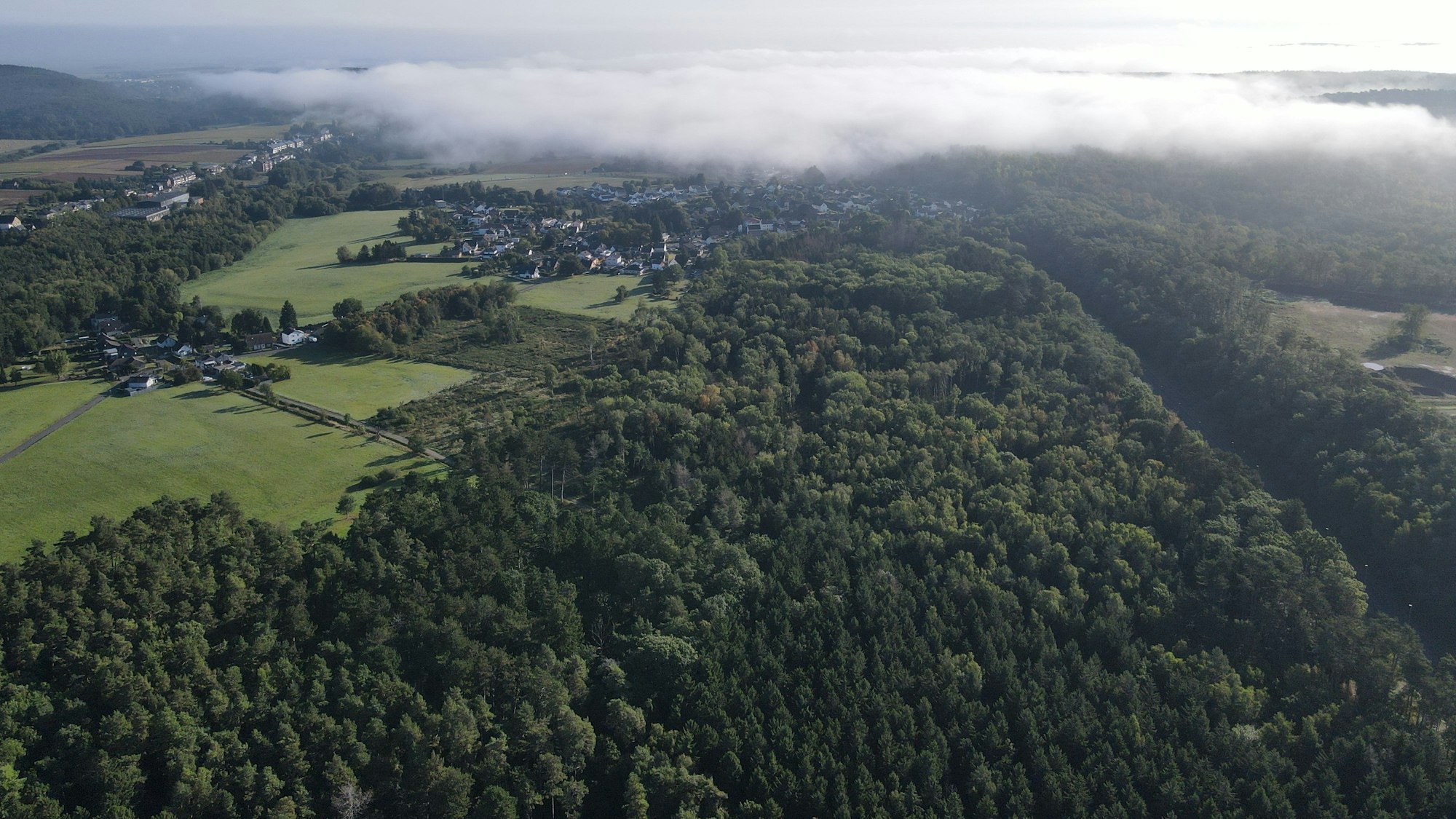 Das Bild zeigt den Wald zwischen Strempt und Mechernich aus der Luft.
