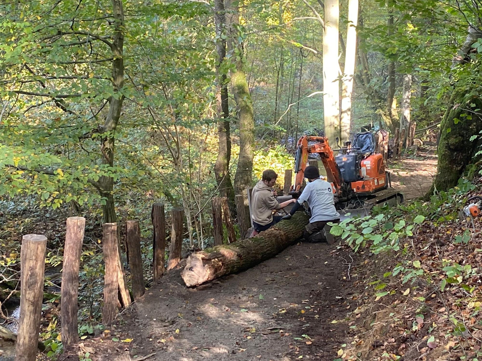 Sanierung Waldlehrpfad in Leichlingen-Witzhelden am 26.10.2024