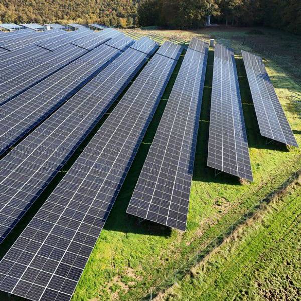 Das Foto zeigt eine PV-Anlage mit in Reihen angeordneten Solarmodulen.