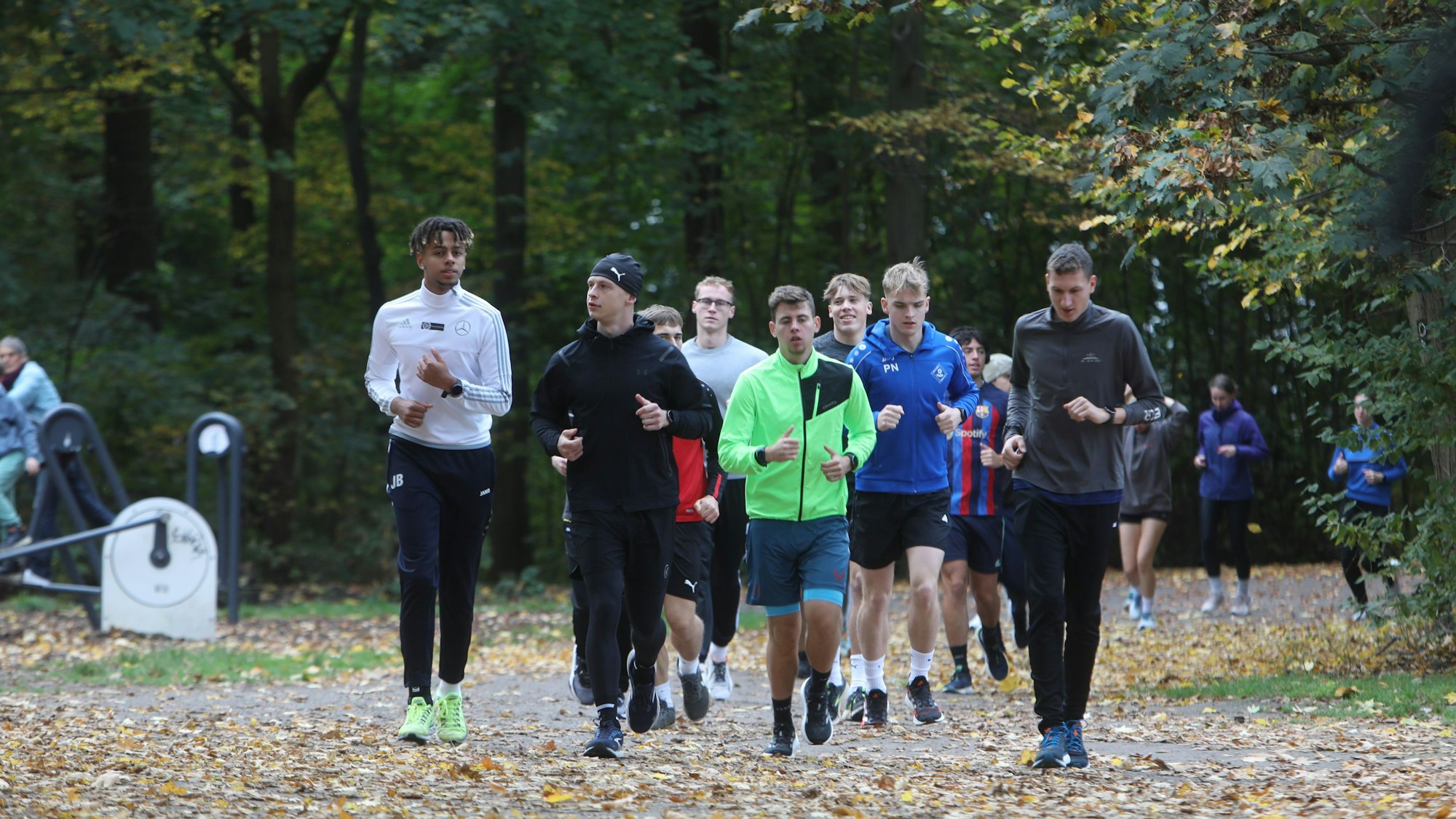 Zu sehen ist eine Gruppe von Menschen in der Vorderansicht, die durch einen Wald joggen.