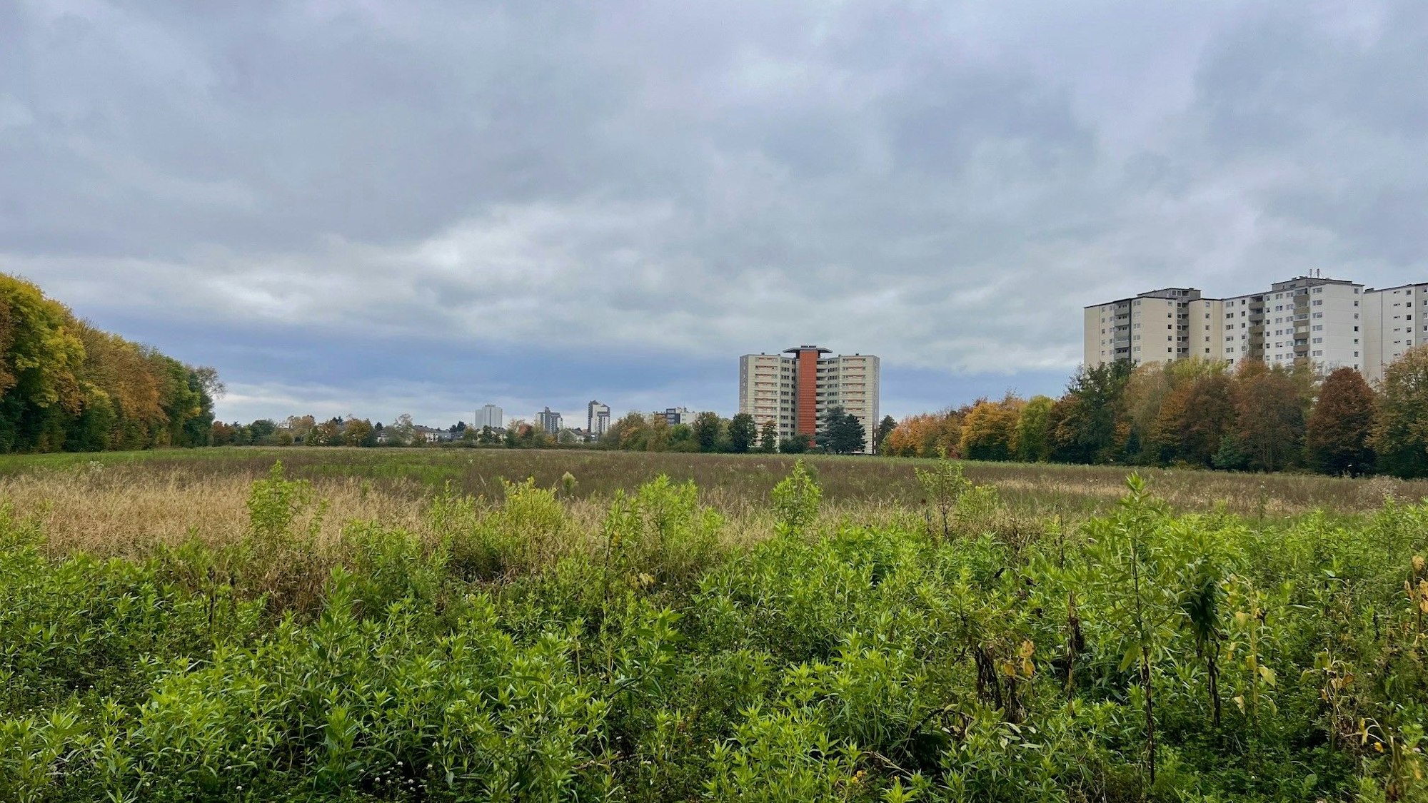 Auf der bisher landwirtschaftlich genutzten Fläche sollen Wohnungen, Kita, Einzelhandel und eine Schule gebaut werden.