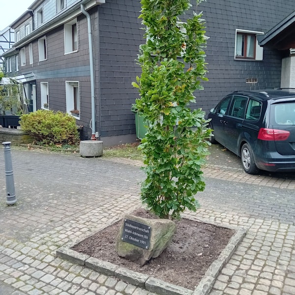 Ein neuer Baum neben dem Gedenkstein würdigt die Partnerschaft mit Jokneam.
