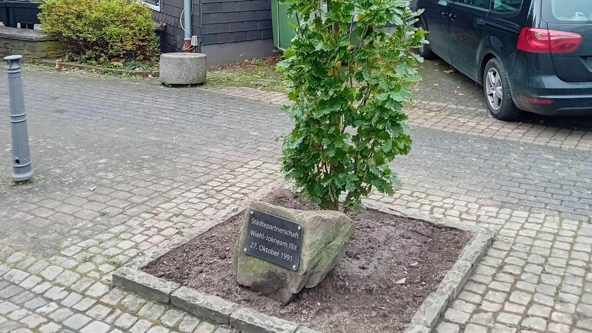 Ein neuer Baum neben dem Gedenkstein würdigt die Partnerschaft mit Jokneam.