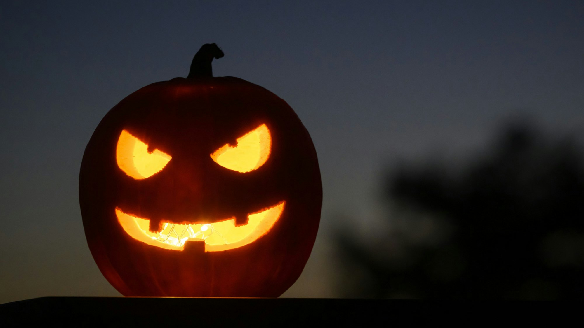 Ein ausgehöhlter, leuchtender Kürbis mit einem geschnitzten grinsenden Gesicht schmückt an Halloween viele Haushalte