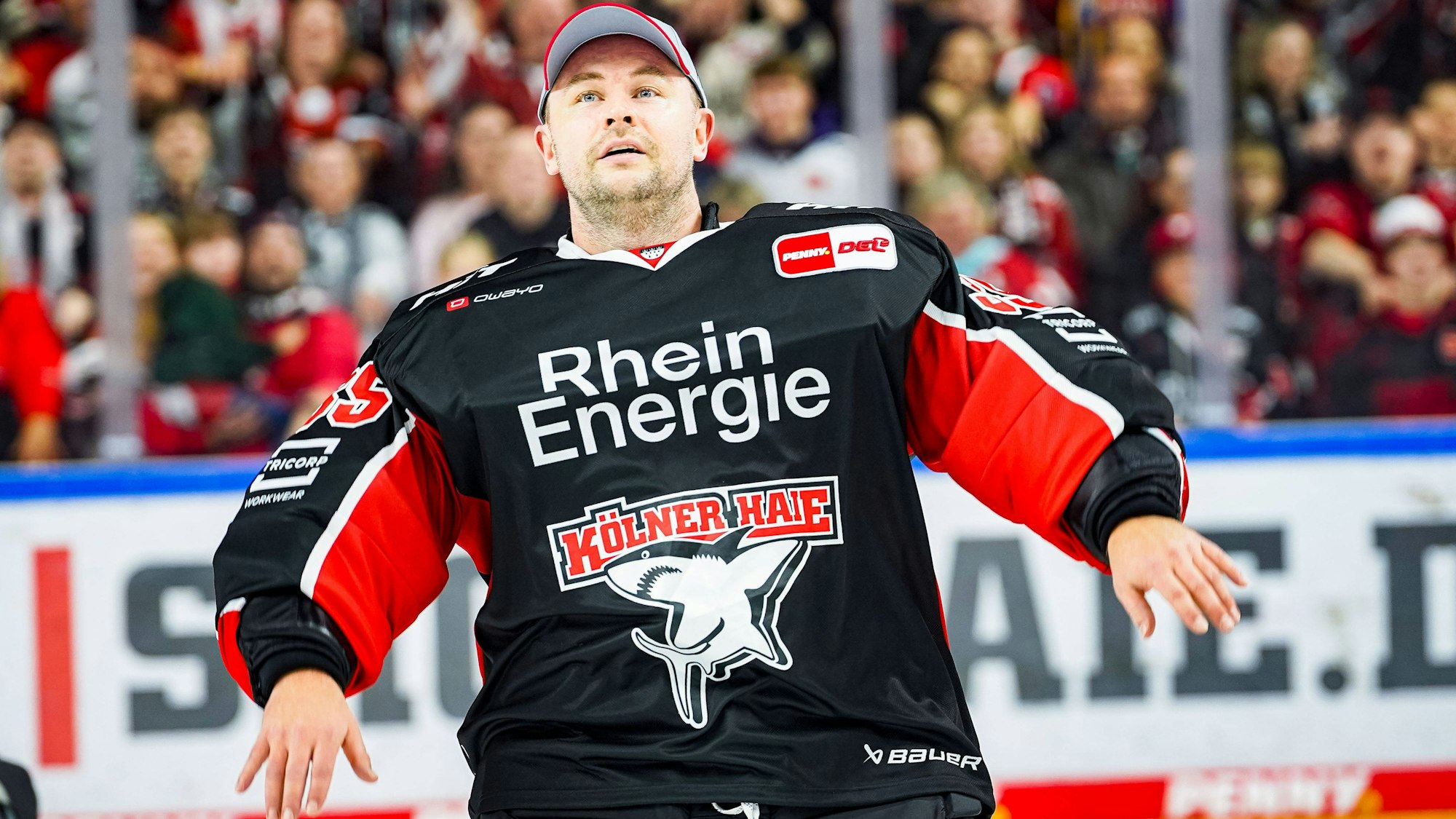 Soll am nächsten Wochenende wieder spielen: Kölns Keeper Julius Hudacek