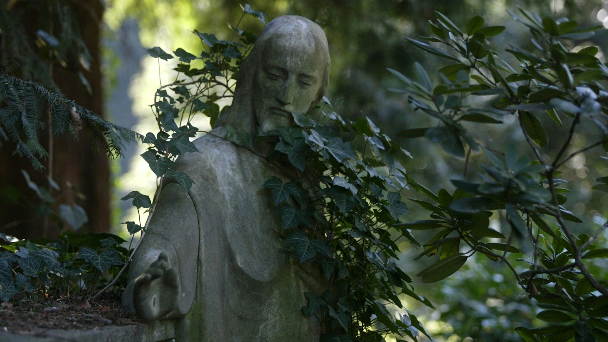 Impression vom Kölner Nordfriedhof.