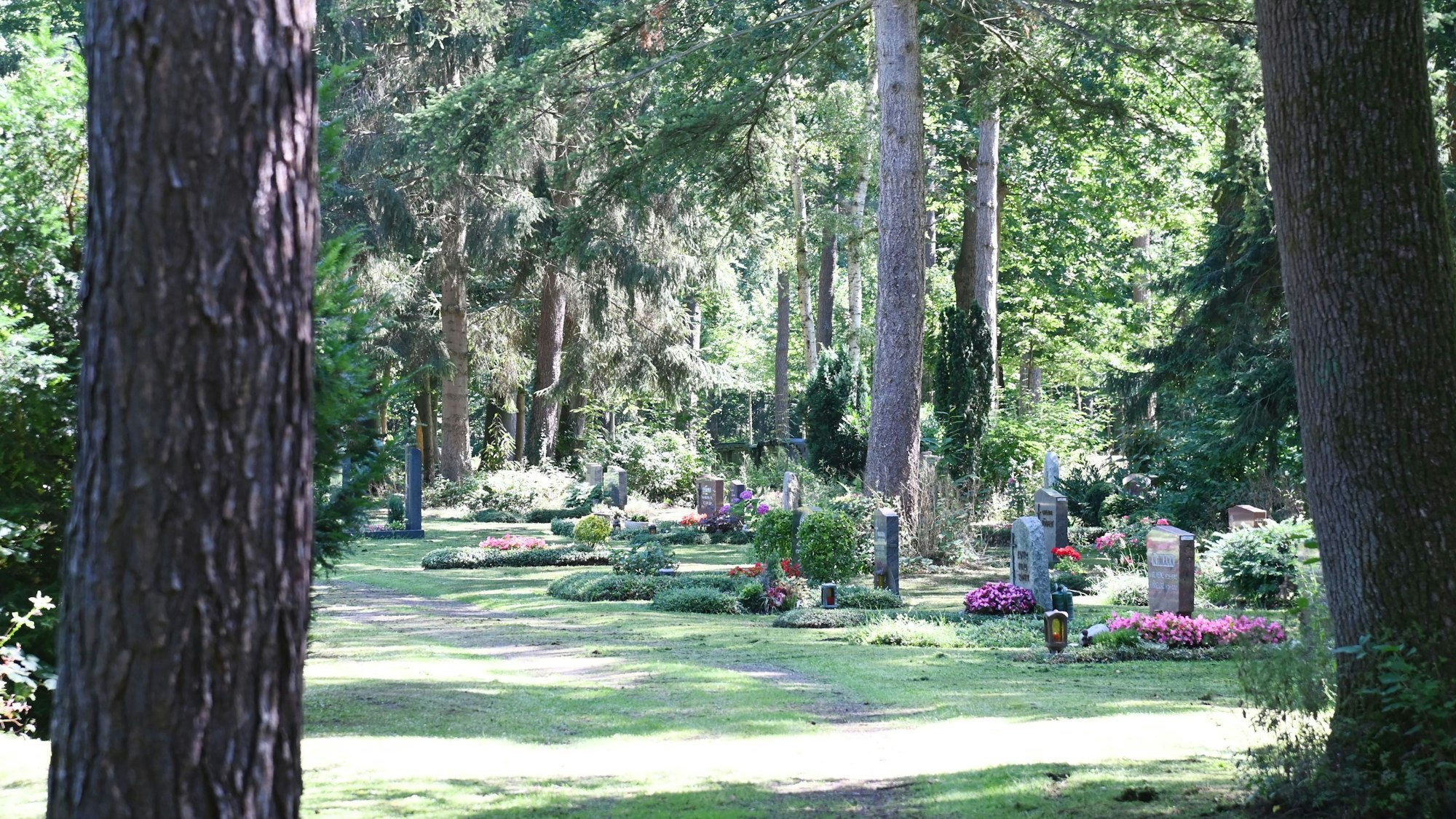 Ostfriedhof in Köln-Dellbrück