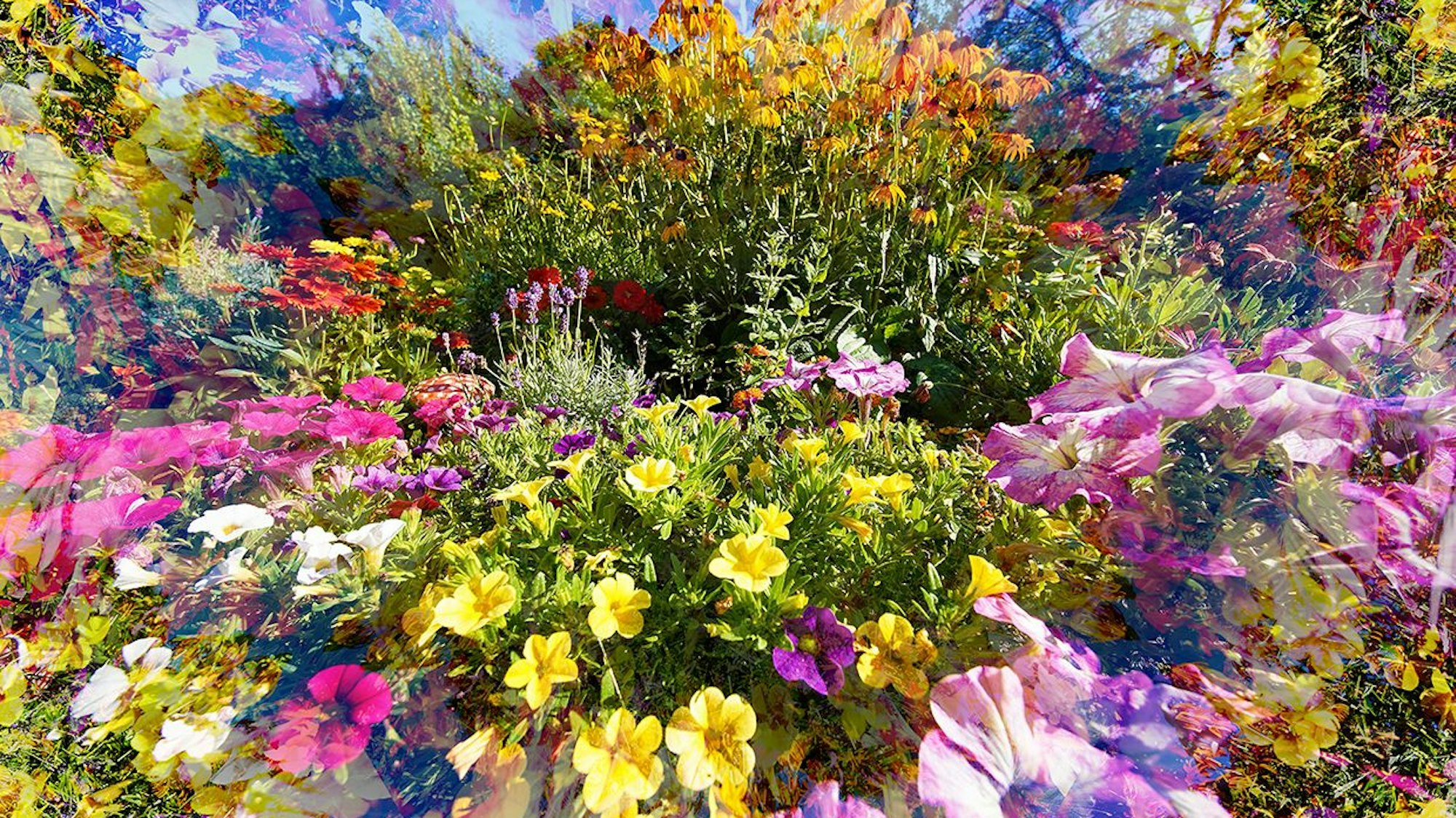 Farben- und Blumenvielfalt in einem Foto vereint.