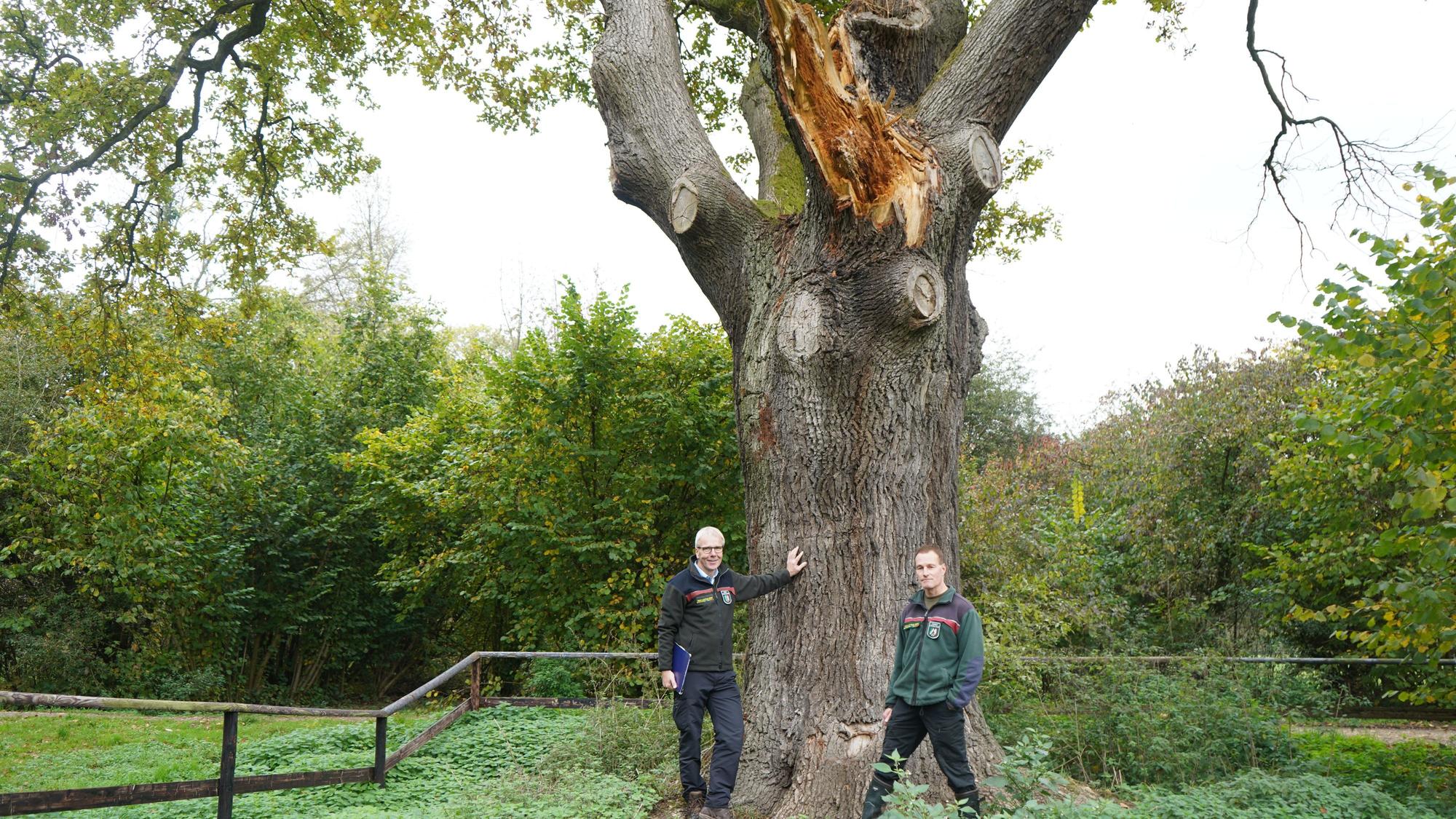 Das Foto zeigt zwei Männer vor einem großen Baum, aus dem ein Ast herausgebrochen ist.