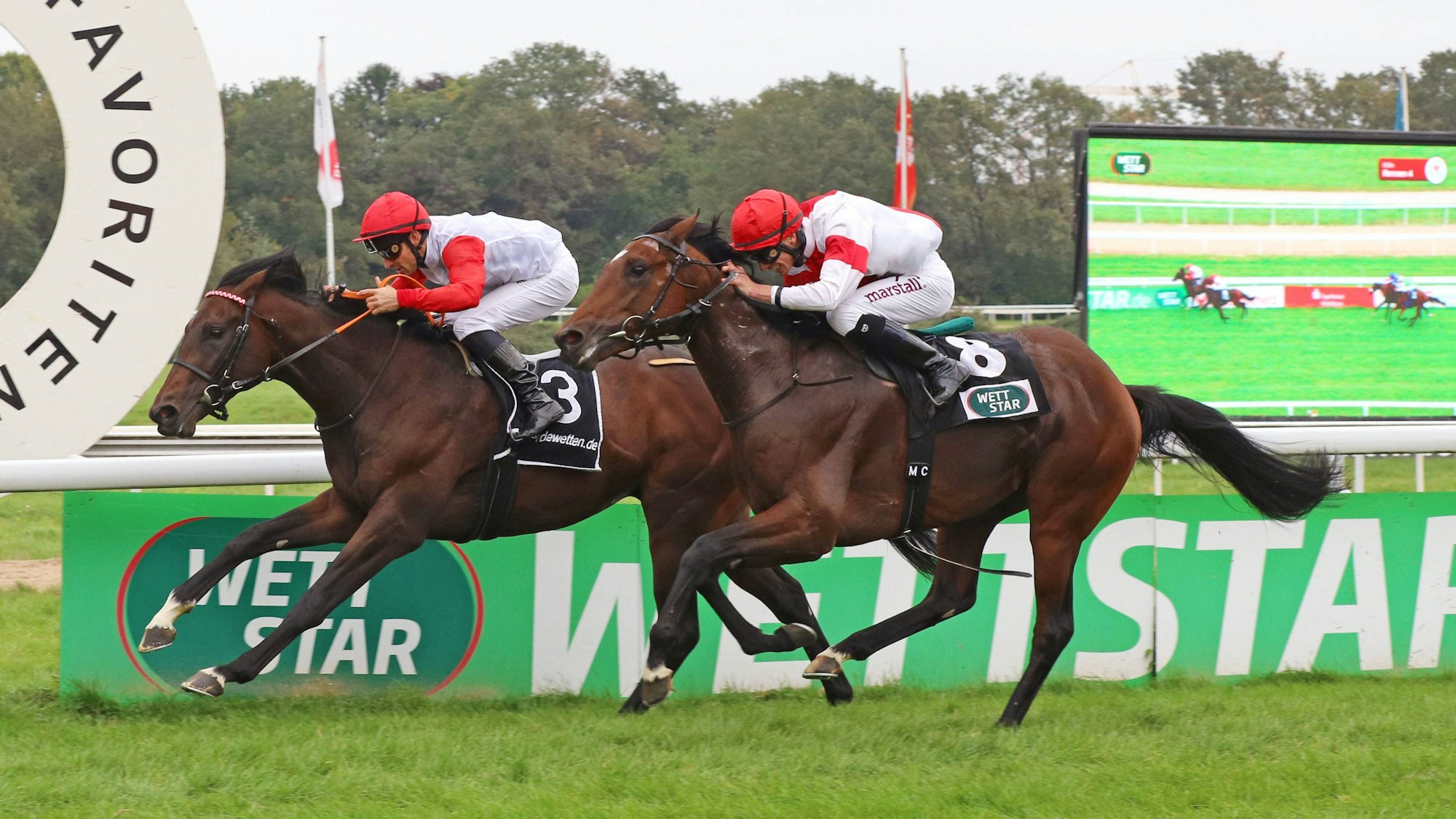 Kopf an Kopf auf der Galopprennbahn Koeln-Weidenpesch. (Symbolbild)