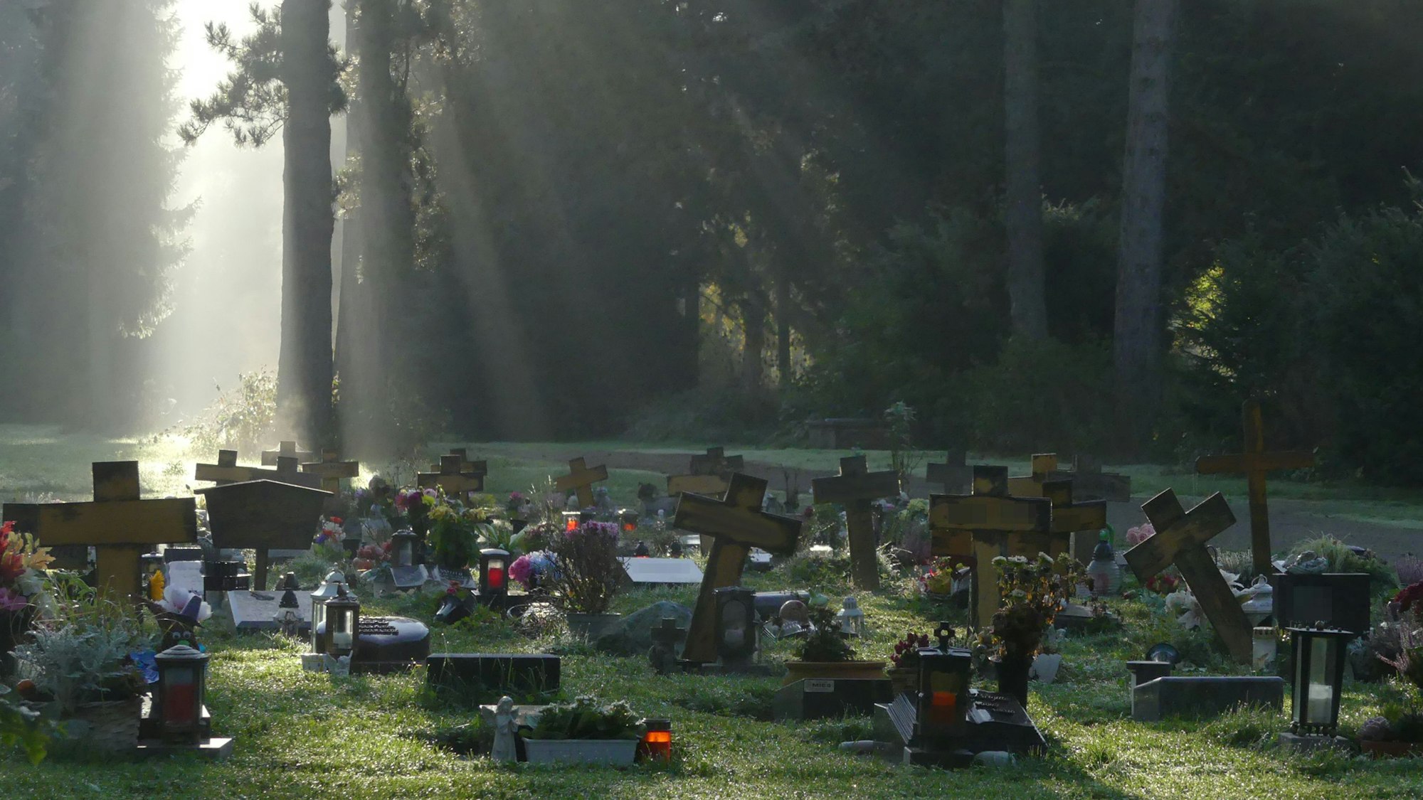 Herbstliche Lichtimpression auf dem Westfriedhof. Gesehen von Heribert Rösgen