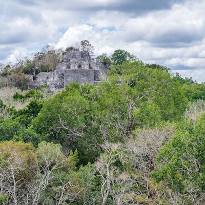 Maya-Ruinen der archäologischen Stätte Calakmul mitten im Dschungel.