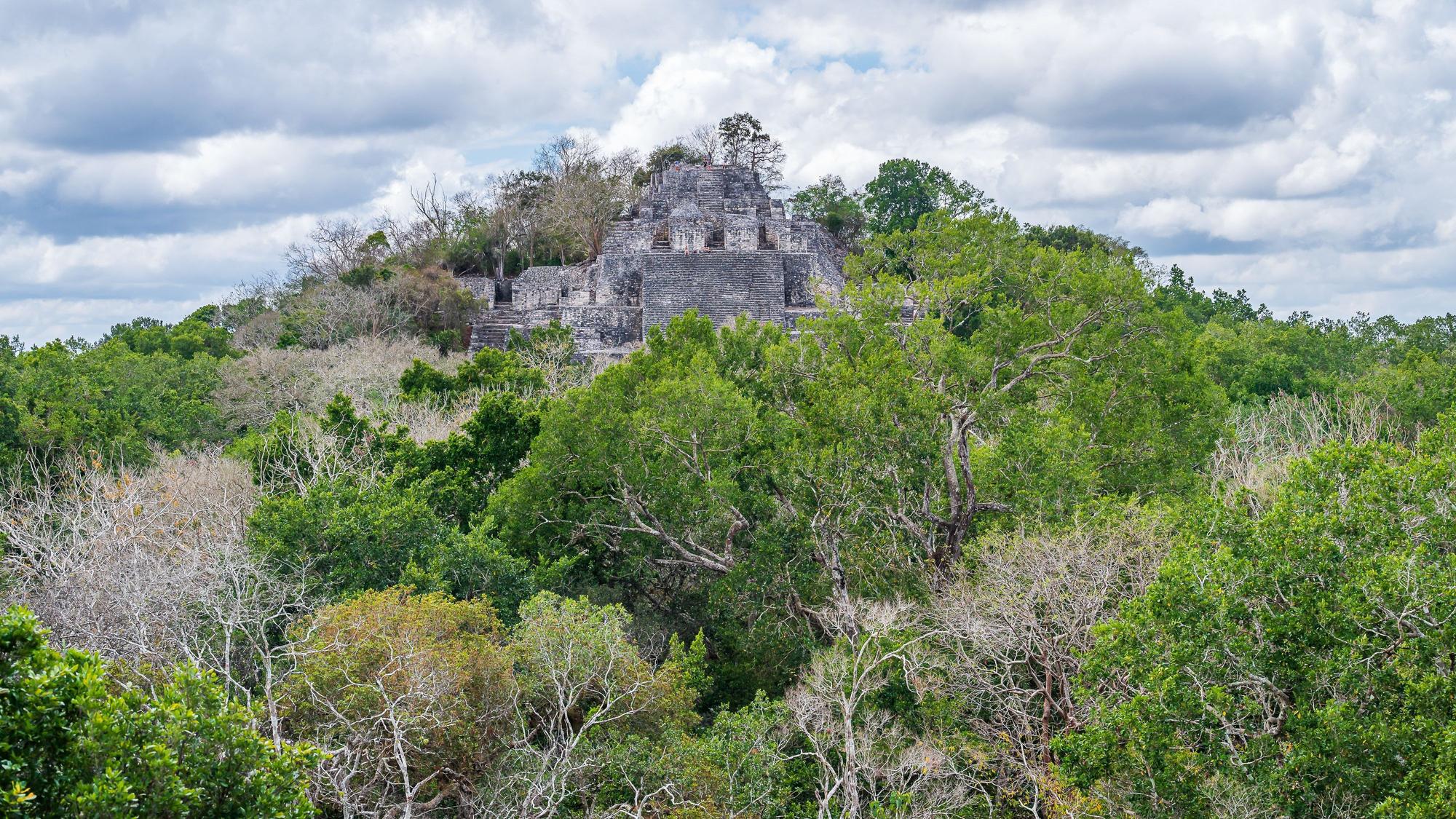 Maya-Ruinen der archäologischen Stätte Calakmul mitten im Dschungel.