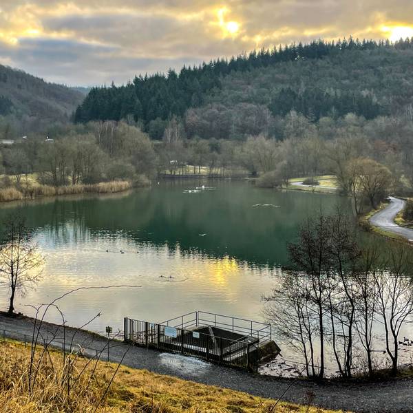 Das Hochwasser-Rückhaltebecken in Eicherscheid.