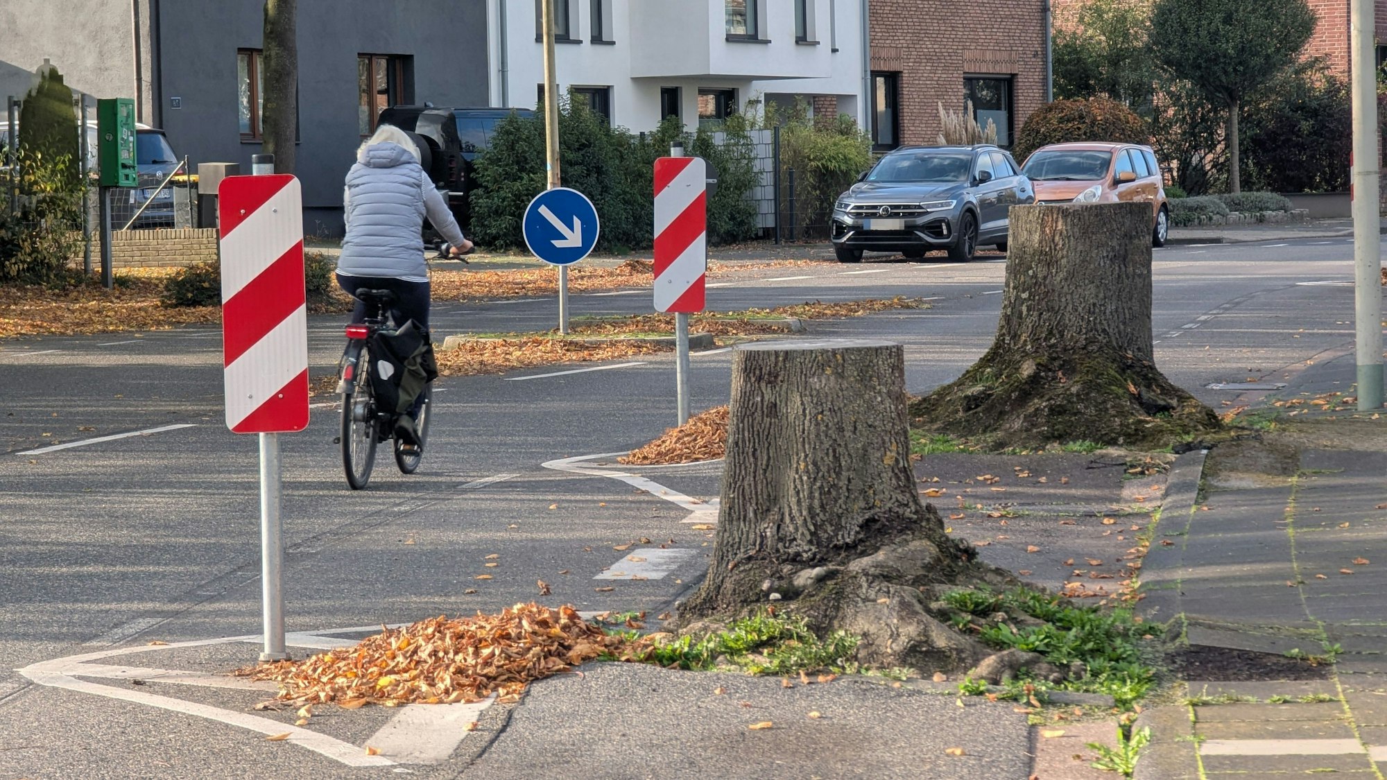Das Foto zeigt die Stümpfe von zwei abgesägten Bäumen, davor umkurvt eine Radfahrerin Warnbaken auf der Fahrbahn.