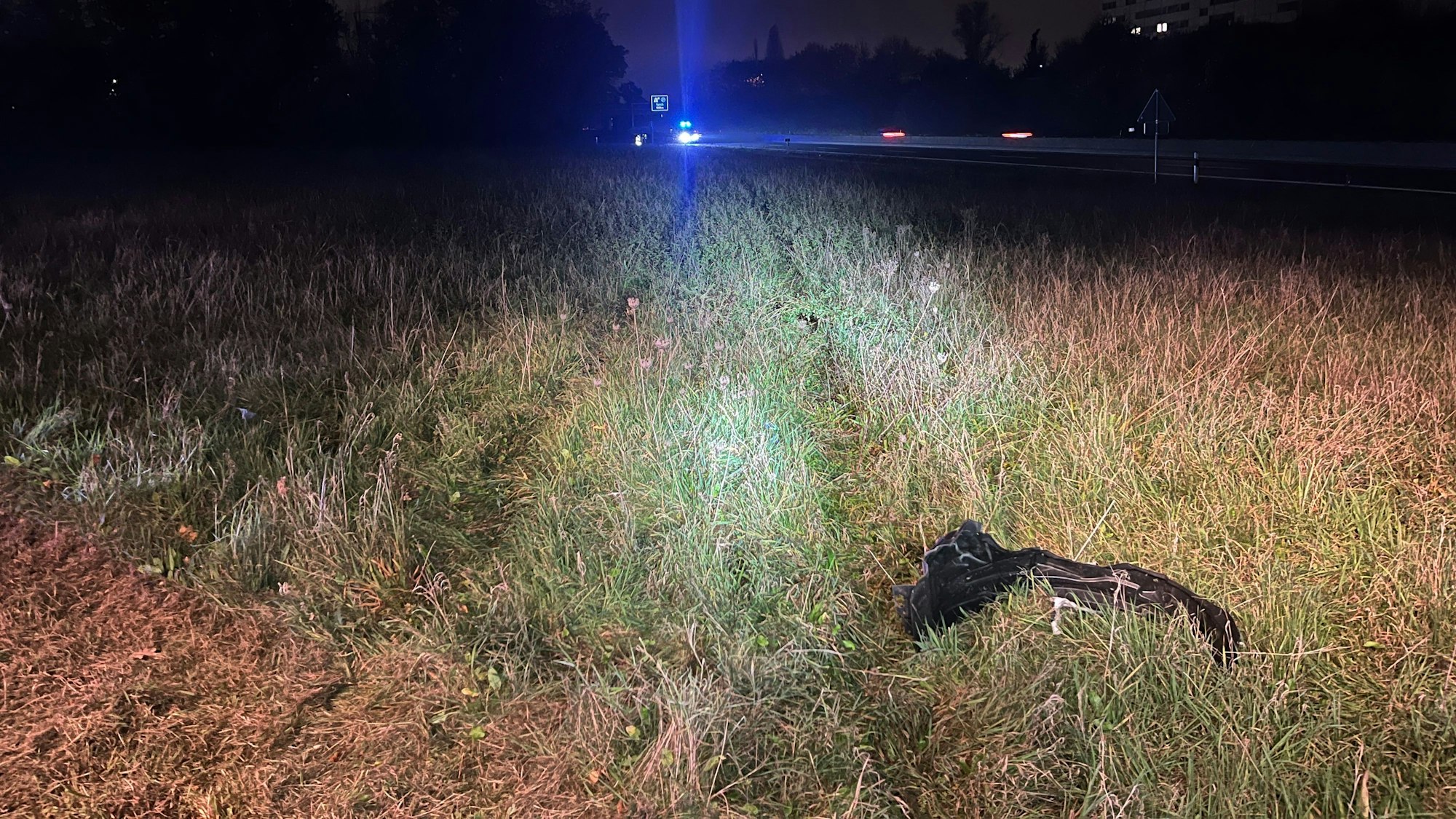 Reifenspuren führen durch eine Wiese.