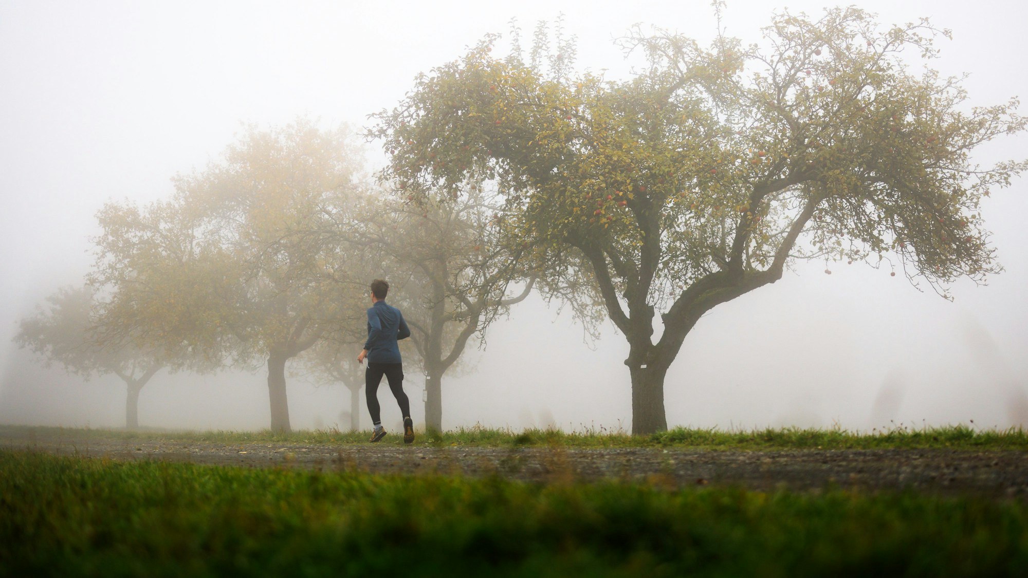Ein Mann joggt im Nebel einen Waldweg entlang.