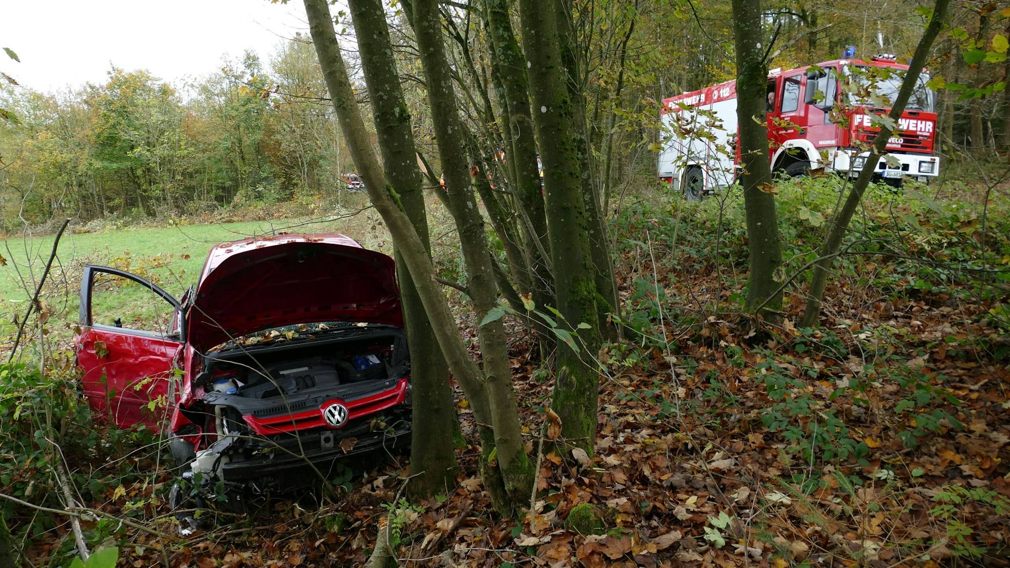 Ein rotes Auto mit zerstörter Front steht in einem Abhang an mehreren Bäumen, im Hintergrund auf der Straße steht ein Löschfahrzeug der Feuerwehr.