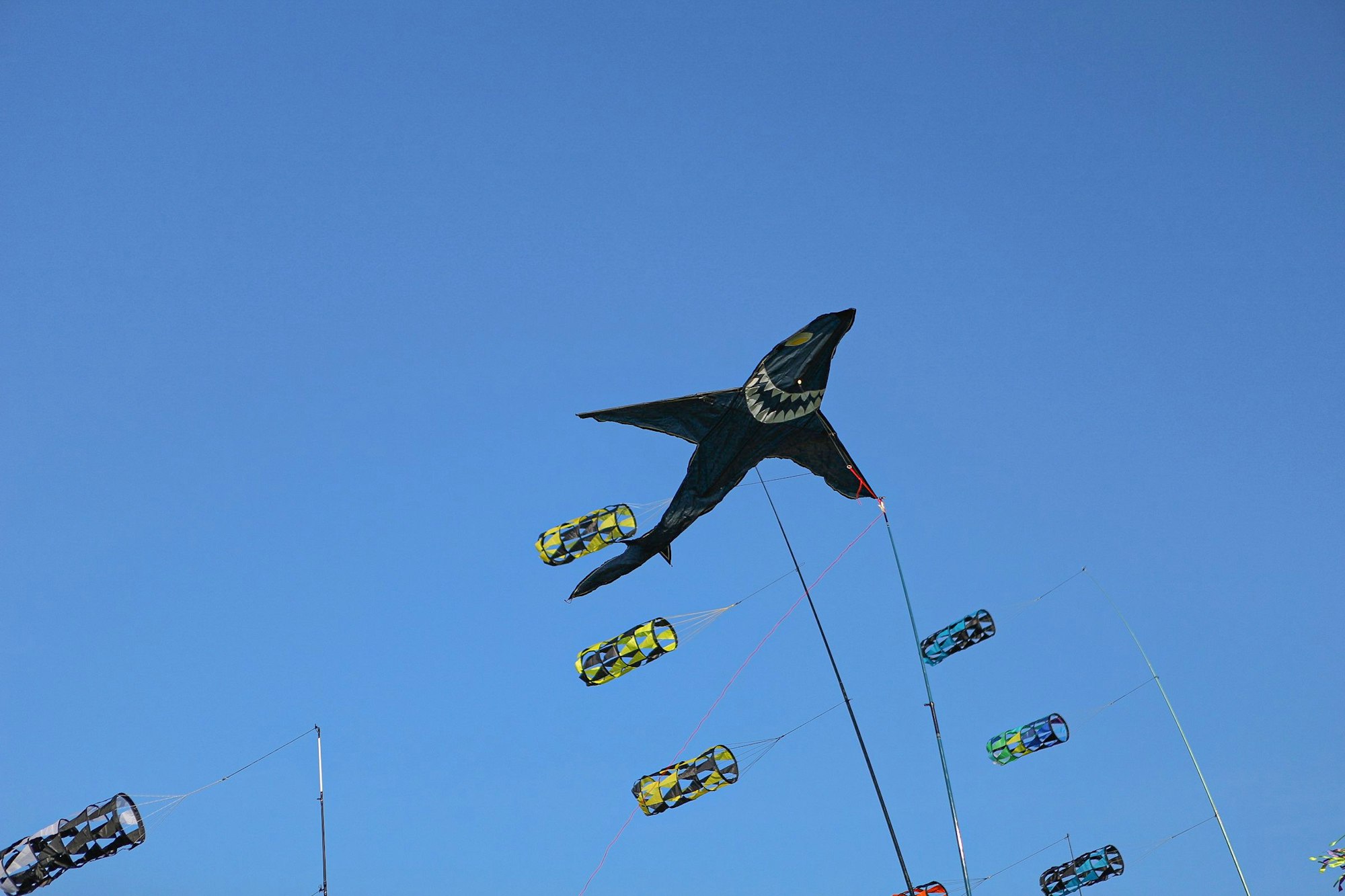 Verschiedene Motive von Drachen.