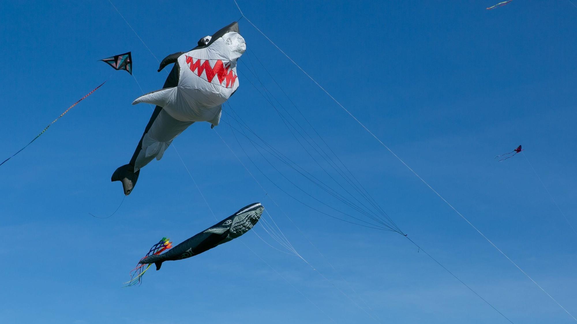 Ein Kite in Form eines Haifisches am Himmel.
