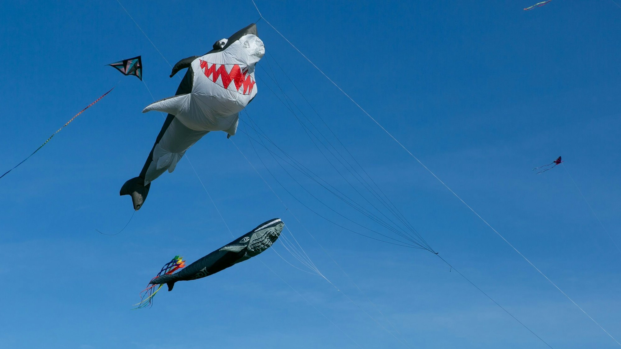 Ein Kite in Form eines Haifisches am Himmel.