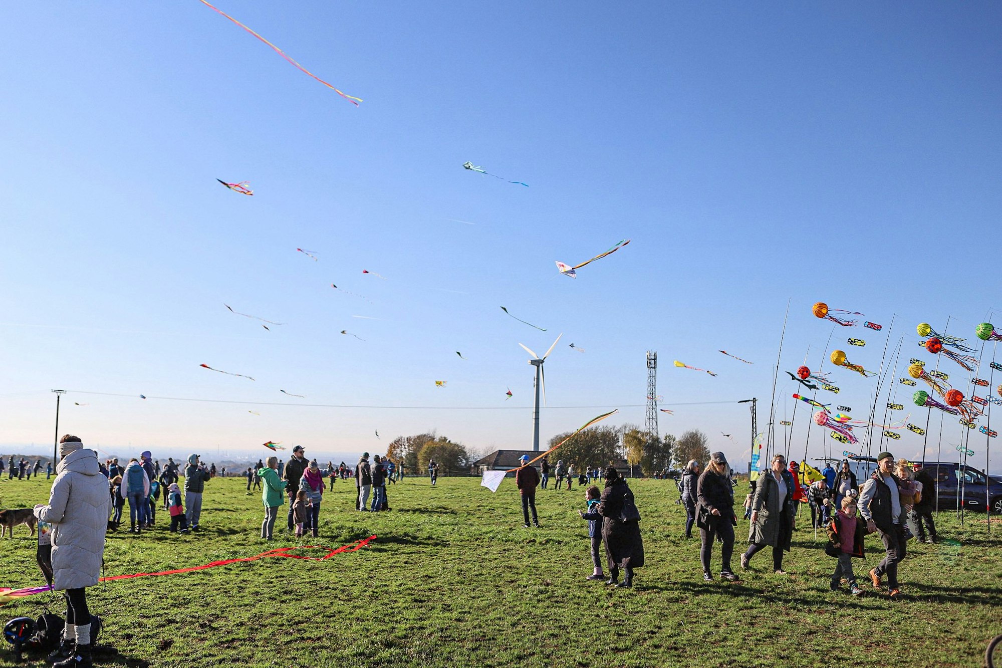 Viele Besucher tummelten sich auf der Wiese