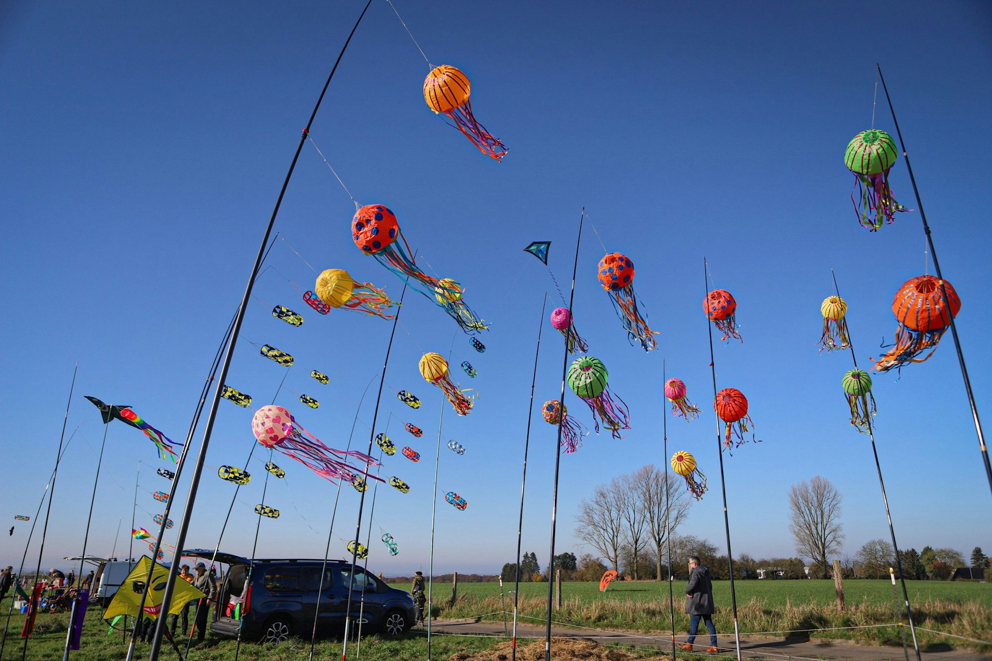 Verschiedene Motive von Drachen