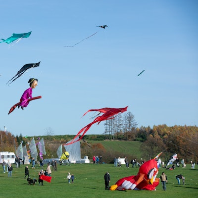 Zahlreiche Drachen am Himmel.