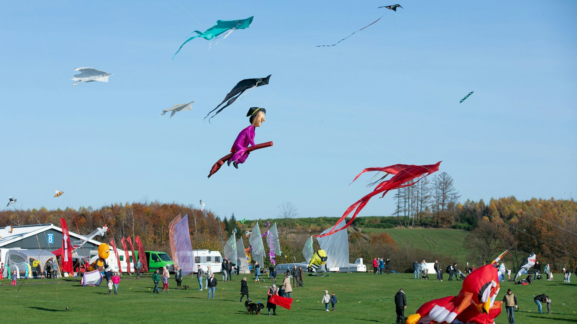 Zahlreiche Drachen am Himmel.