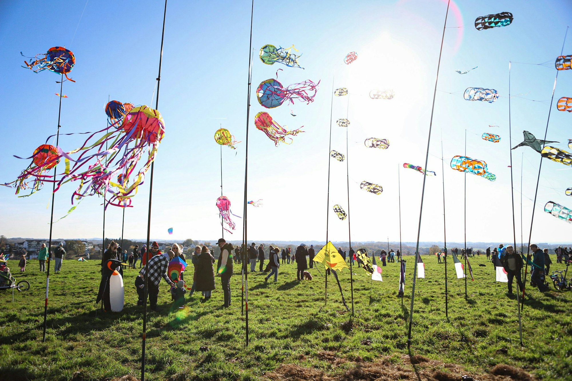 Mehr als 100 Drachen stiegen am Sonntag in die Höhe.