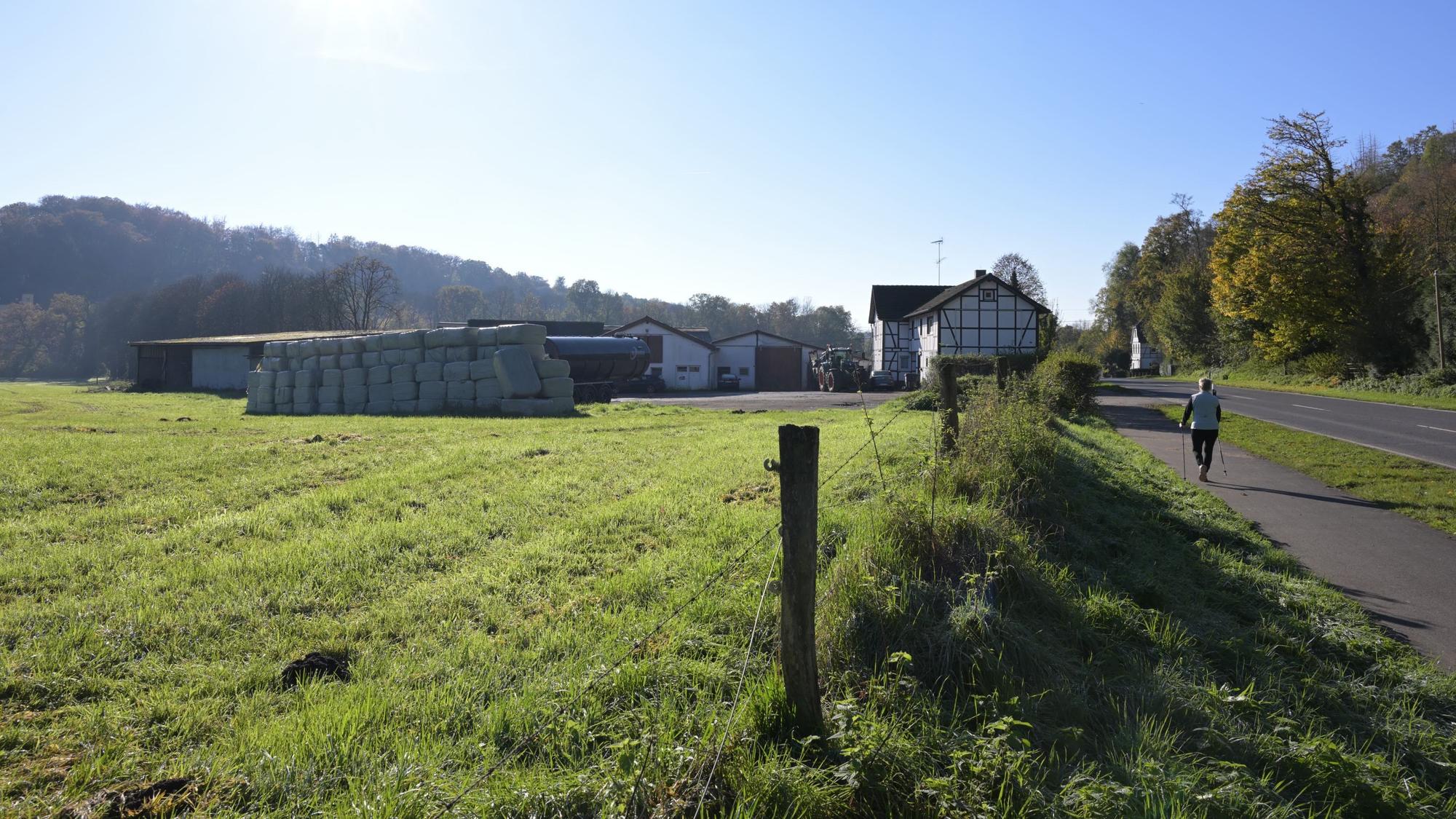 Eine Wiese, dahinter ein bäuerliches Anwesen mit gestapelten Silageballen.