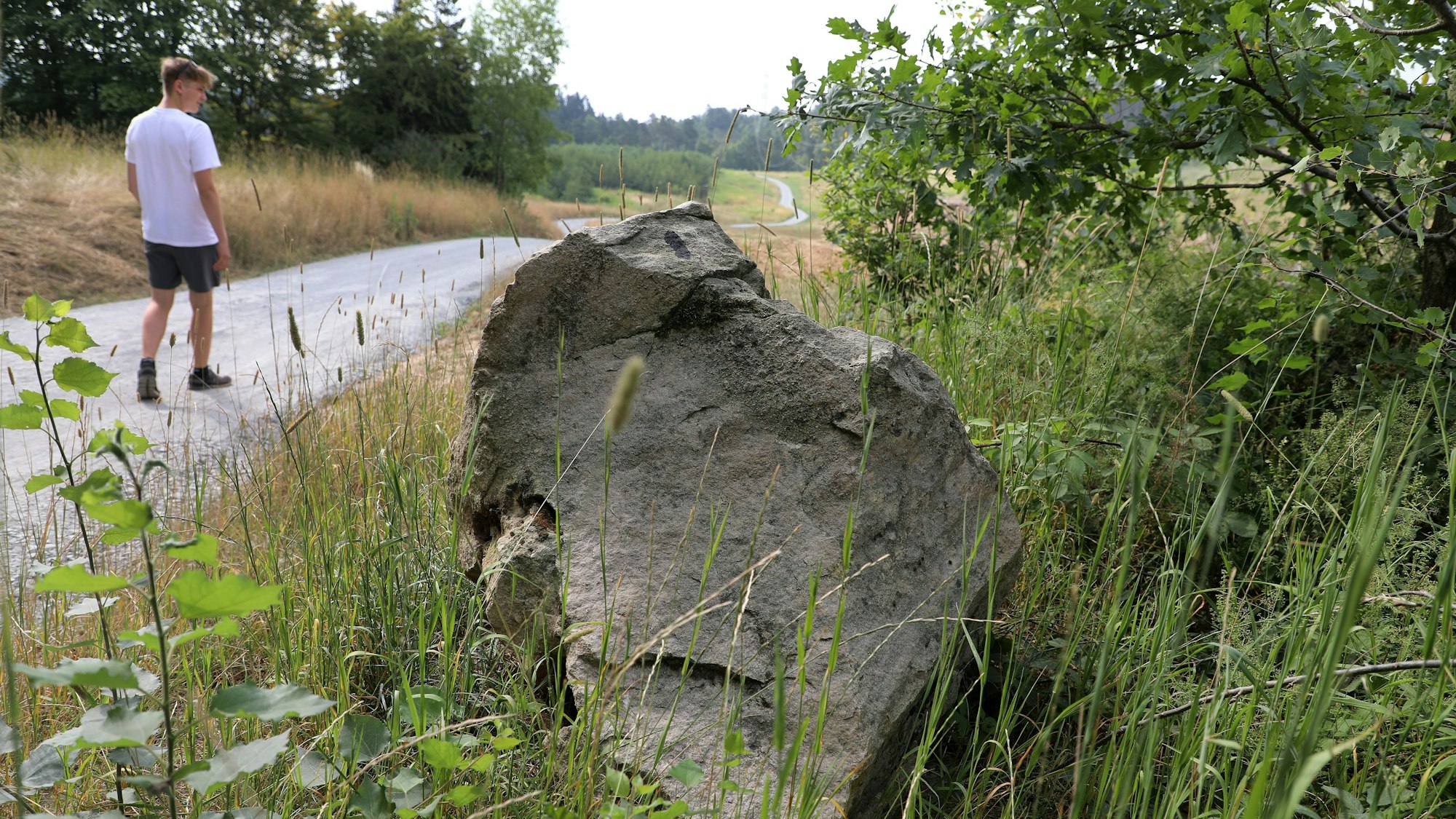 Ein Mann geht über einen Wanderweg auf der ehemaligen Erddeponie Lüderich bei Overath-Steinenbrück.