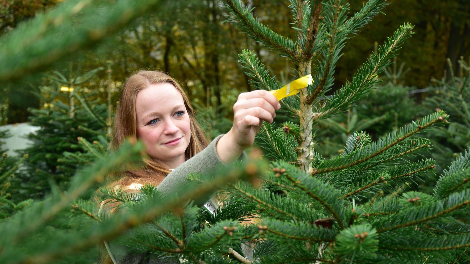 Eine junge Frau steht in einer Weihnachtsbaumplantage.