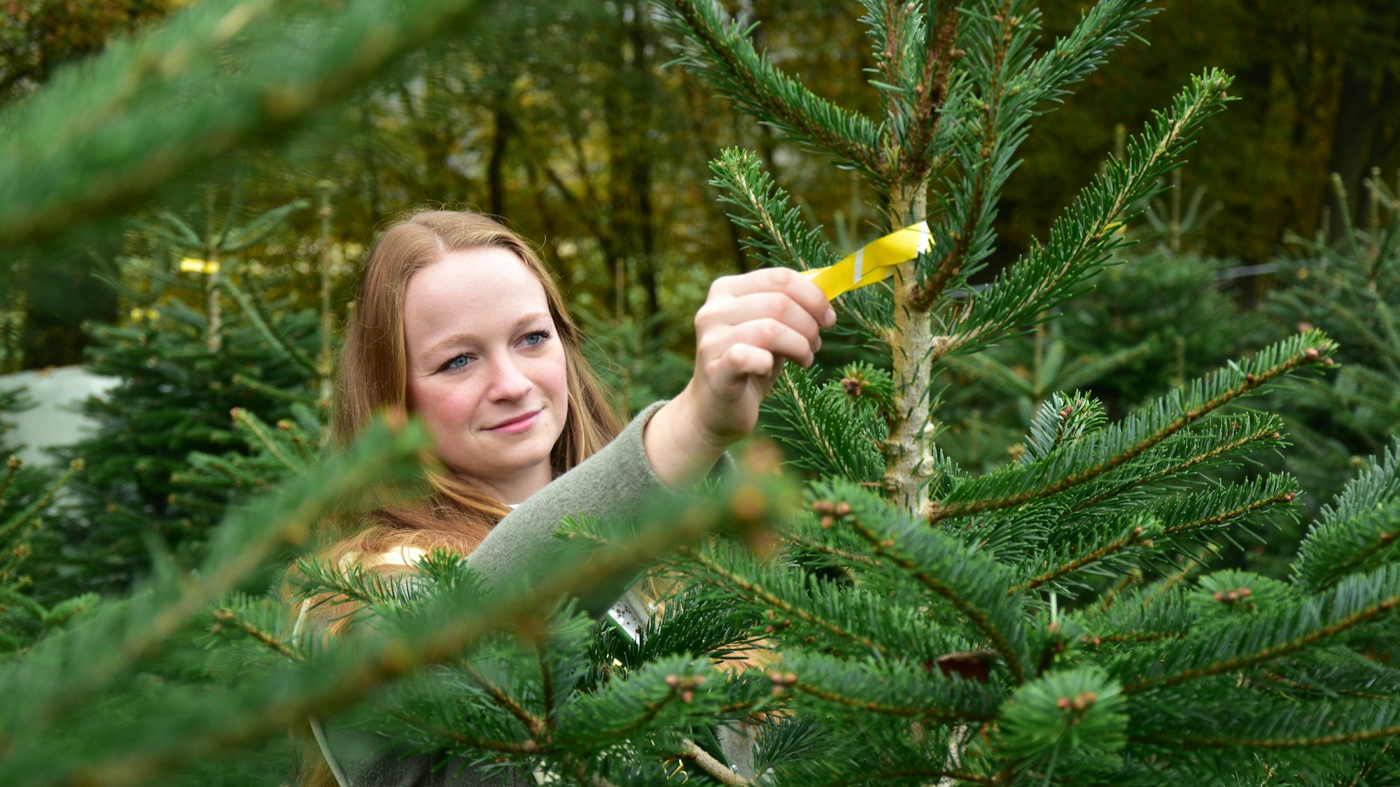 Eine junge Frau steht in einer Weihnachtsbaumplantage.