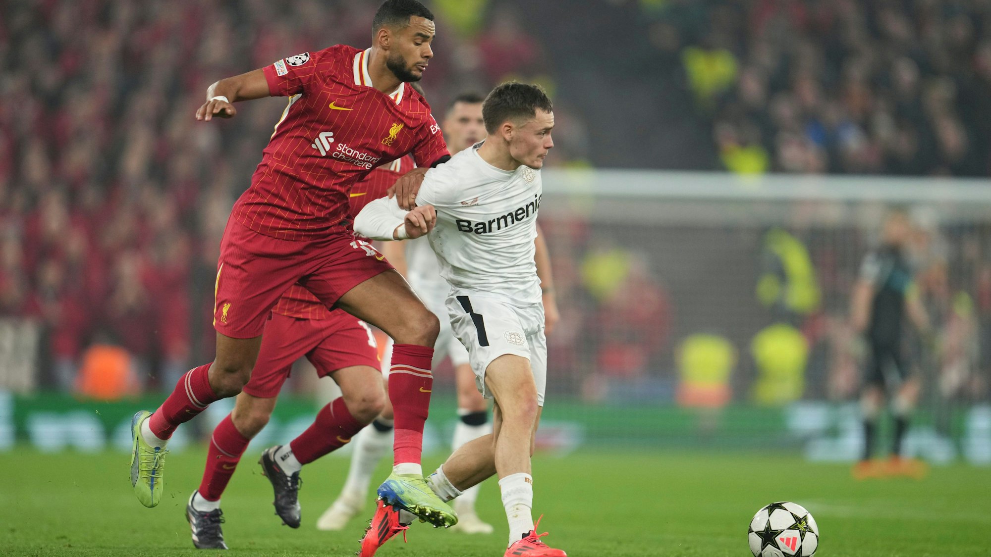 Liverpools Cody Gakpo (links) und Leverkusens Florian Wirtz kämpfen im Champions League Spiel um den Ball.