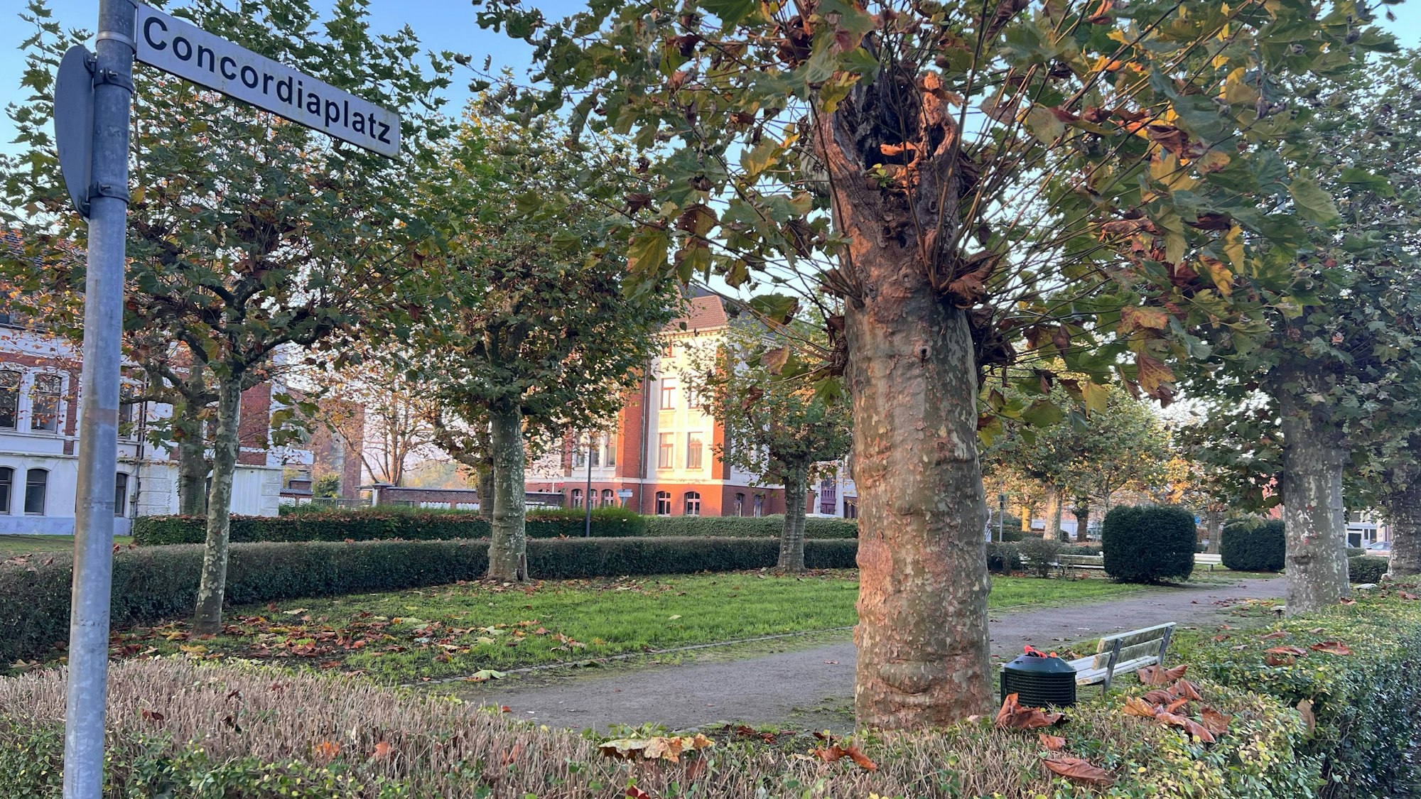 Mit Finanzmitteln der Kölner Grün Stiftung könnte der Concordiaplatz in Porz aufgewertet werden.
