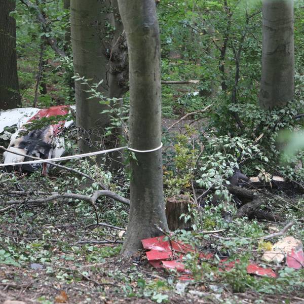 Trümmerteile liegen im Wald.