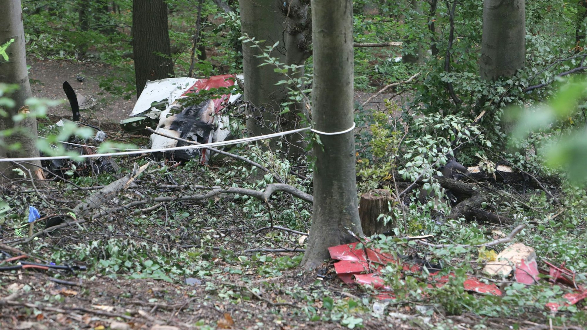 Trümmerteile liegen im Wald.
