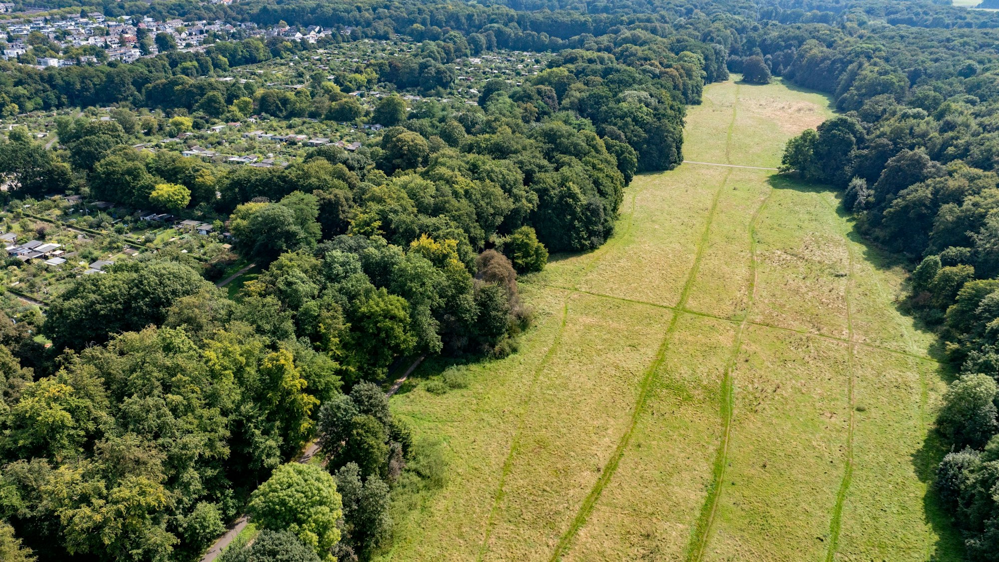 Blick auf die Gleueler Wiese