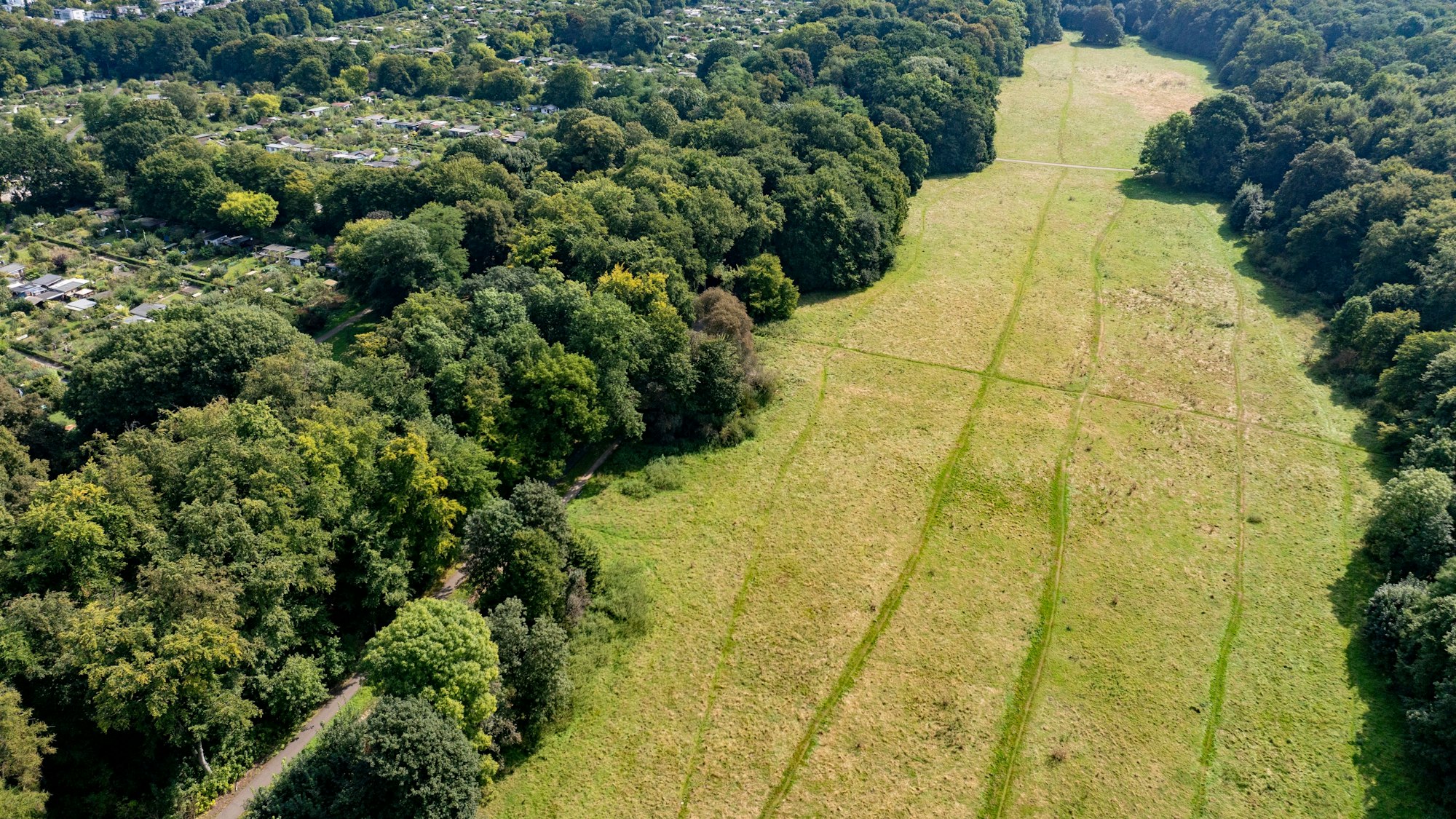 Blick auf die Gleueler Wiese von oben.