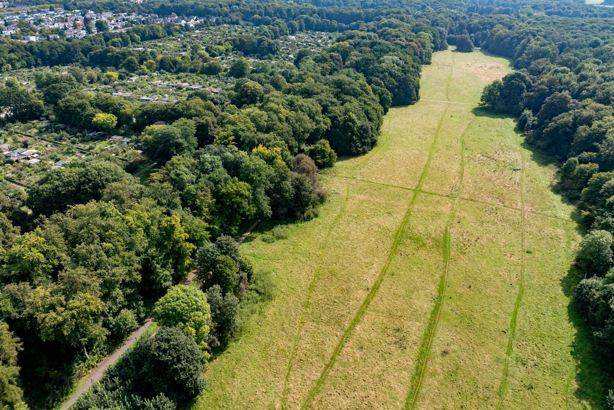 Die Gleueler Wiese. Dort wollte der 1. FC Köln ursprünglich drei Fußball-Plätze bauen.