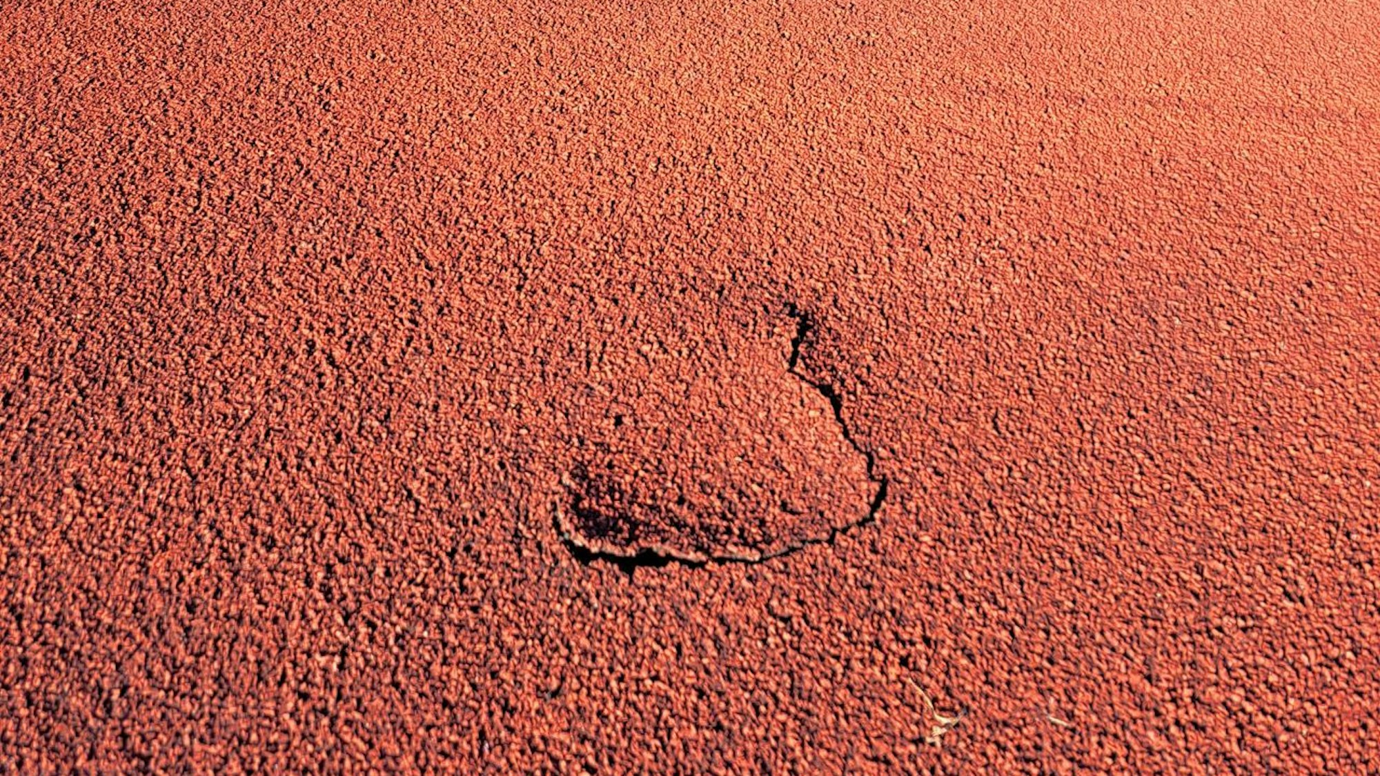 Das Foto zeigt eine beschädigte Tartanoberfläche auf dem Sportplatz in Habbelrath.