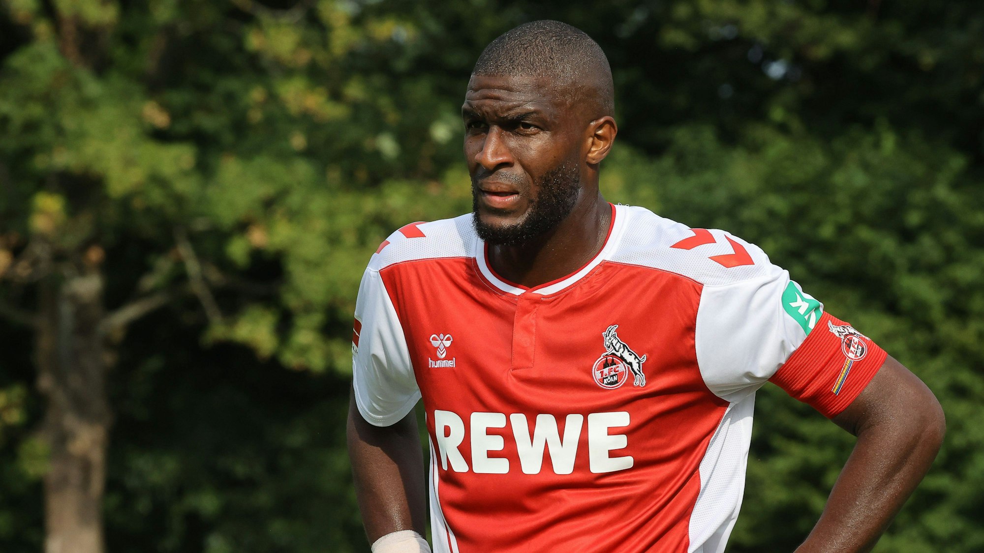 Anthony Modeste im Dress des 1. FC Köln.