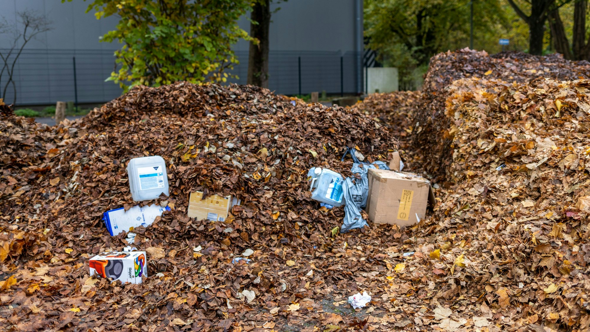 Landet Müll im Laub, haben es die AWB schwer.