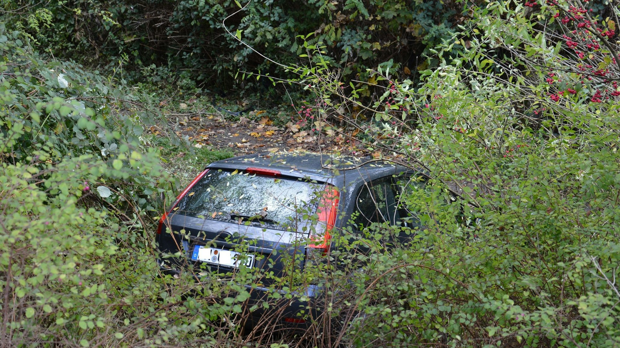Das Bild zeigt ein Auto in einer Böschung.