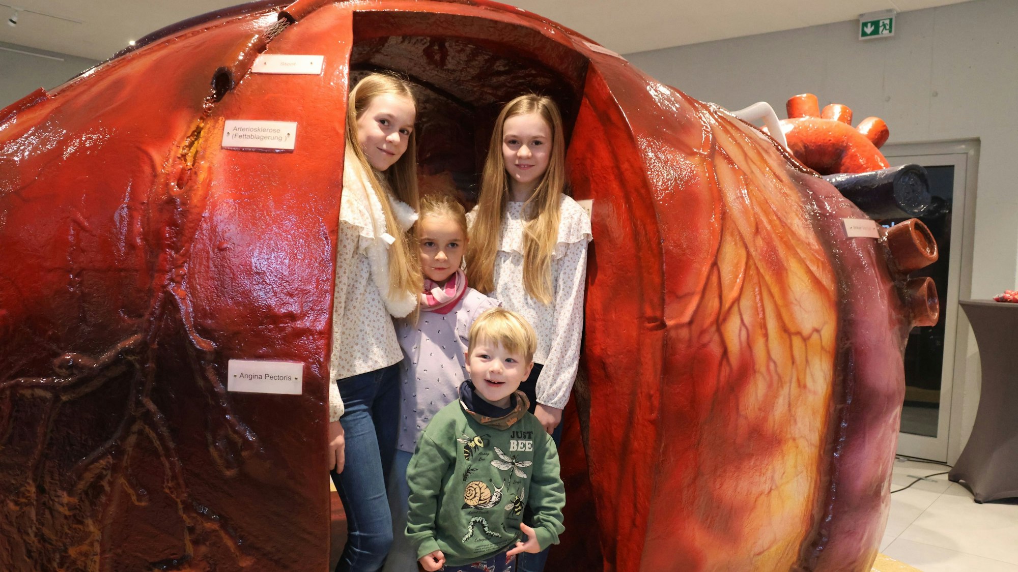 An einem begehbaren Herzmodell erklärte eine Kardiologin im Waldbröler Bürgerdorf am Alsberg die Funktionen der einzelnen Herzkomponenten. Kinder wie die Zwillinge Lynn und Maya (11) sowie Lucy (6) und Theo (3) hatten derweil ihren Spaß an diesem Modell.