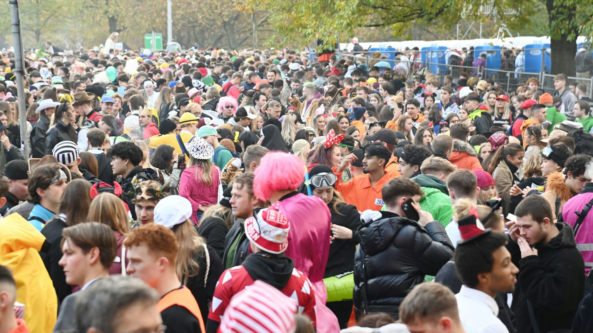 Uniwiese am 11.11.2024