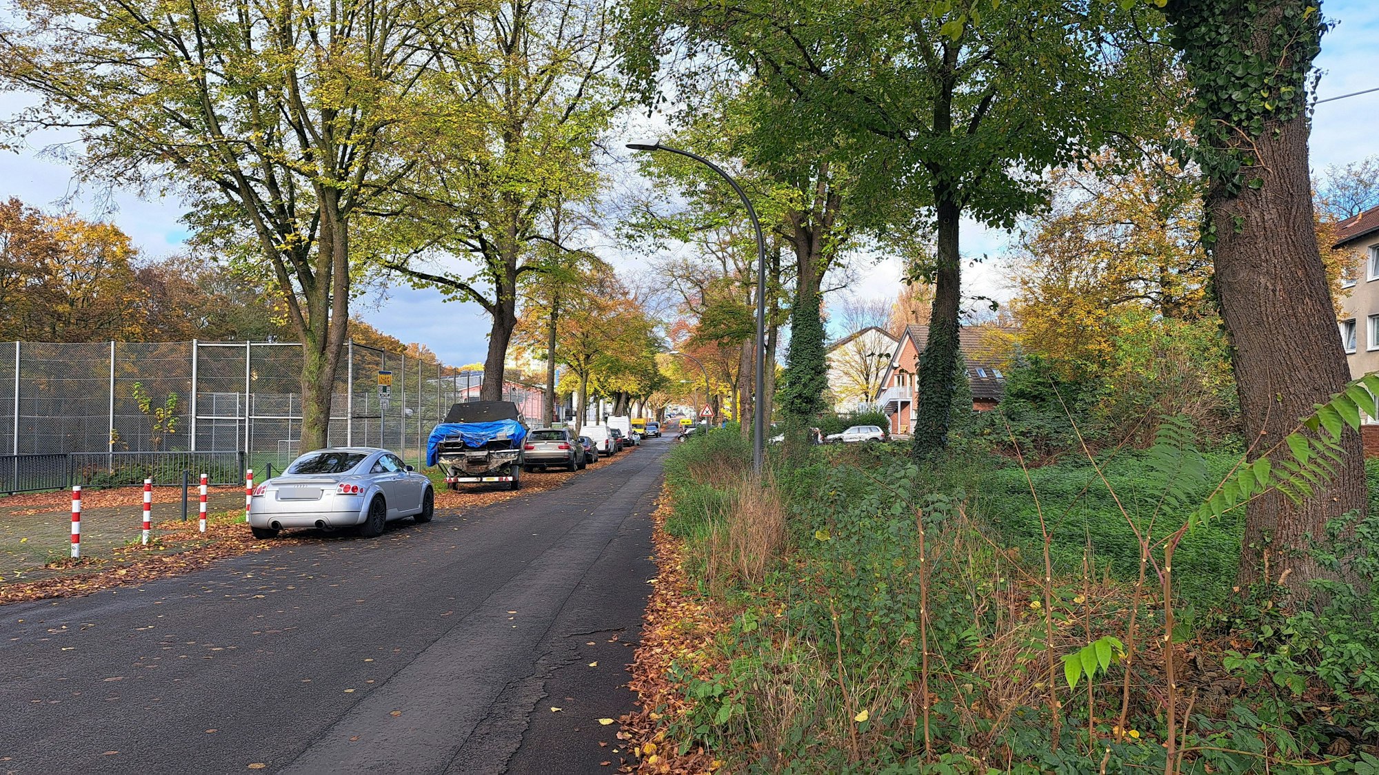 Die Buchholzstraße im Mülheimer Norden ist nicht richtlinienkonform in Gehweg, Fahrbahn, Parkplätze sowie Grünflächen und Baumstandorte aufgeteilt.